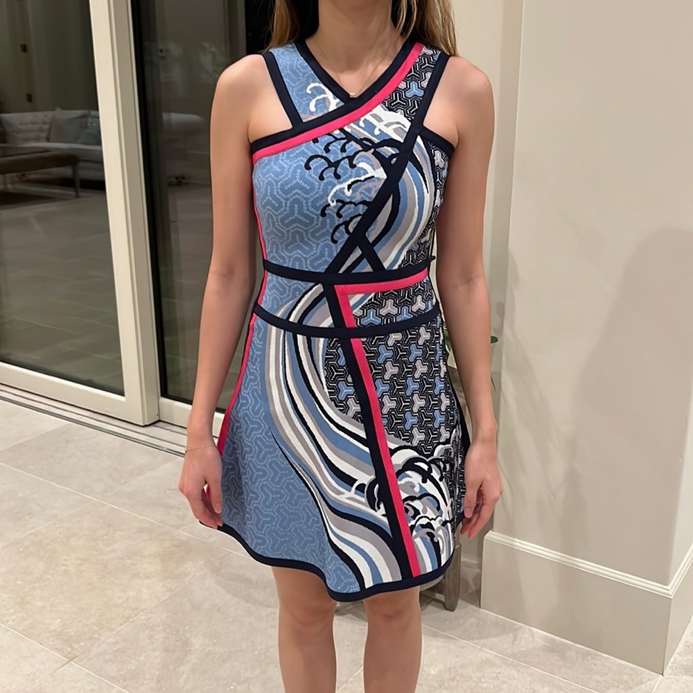 Herve Leger dress